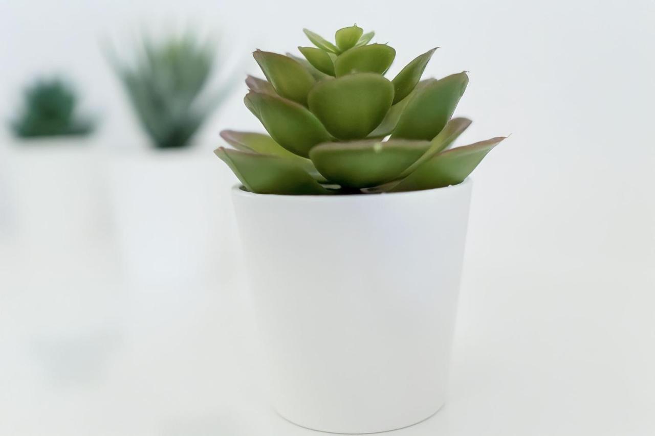 In Dattenberg Ngoại thất bức ảnh